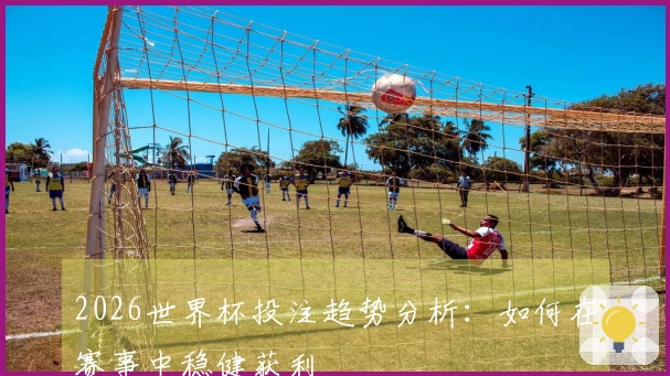2026世界杯投注趋势分析：如何在赛事中稳健获利