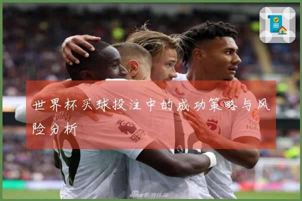 世界杯买球投注中的成功策略与风险分析
