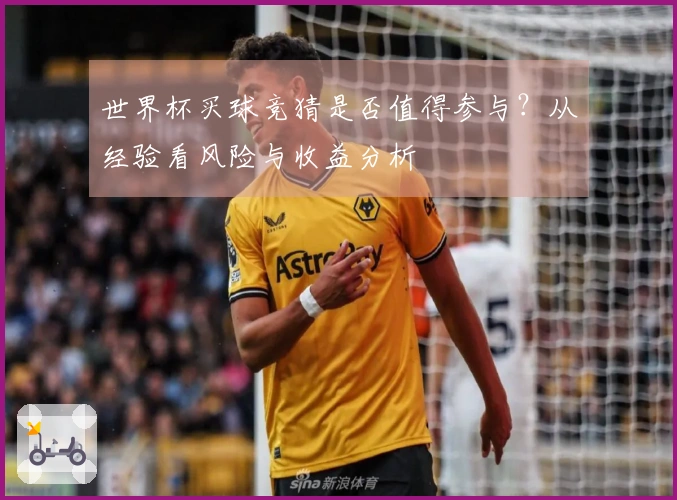 世界杯买球竞猜是否值得参与？从经验看风险与收益分析