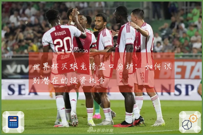 世界杯买球竞猜盘口分析：如何识别潜在的投资机会