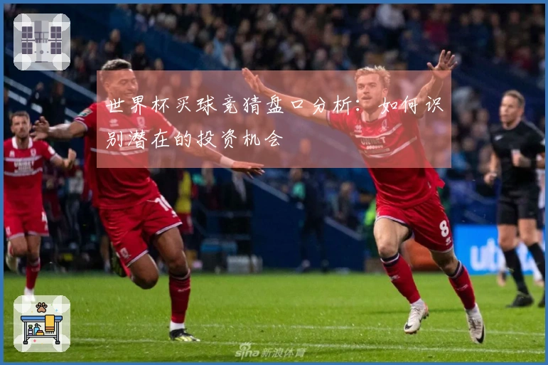 世界杯买球竞猜盘口分析：如何识别潜在的投资机会