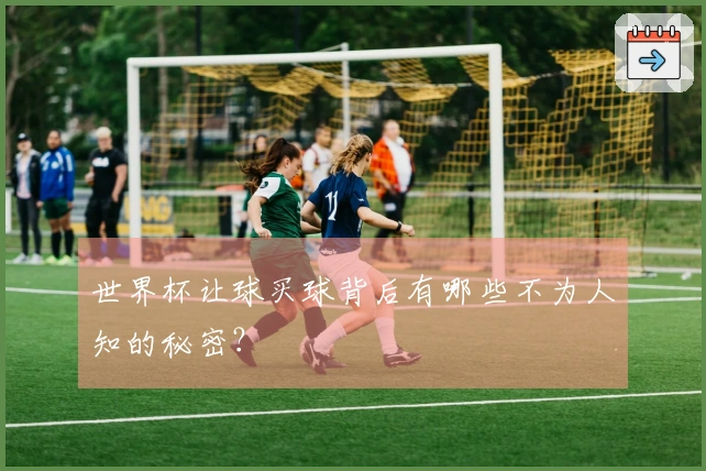 世界杯让球买球背后有哪些不为人知的秘密？