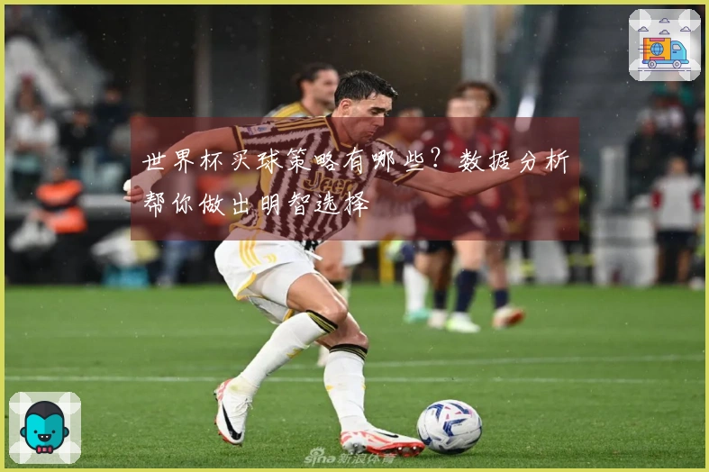 世界杯买球策略有哪些？数据分析帮你做出明智选择