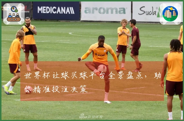 世界杯让球买球平台全景盘点，助你精准投注决策