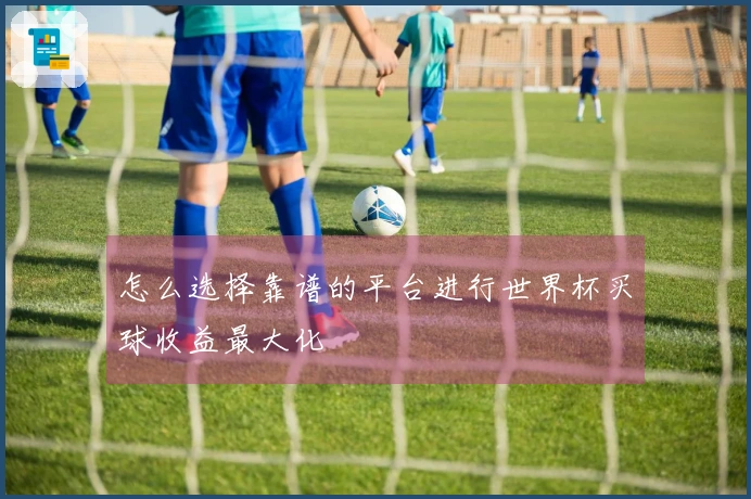 怎么选择靠谱的平台进行世界杯买球收益最大化