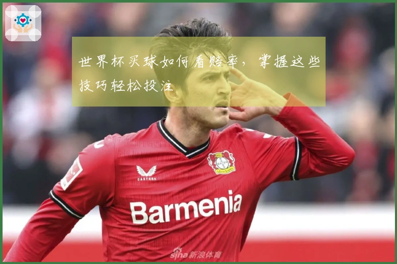 世界杯买球如何看赔率，掌握这些技巧轻松投注