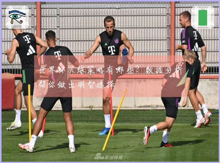 世界杯买球策略有哪些？数据分析帮你做出明智选择