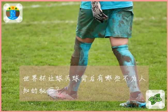 世界杯让球买球背后有哪些不为人知的秘密？