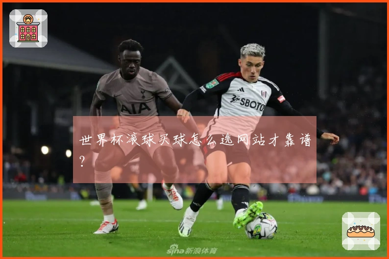 世界杯滚球买球怎么选网站才靠谱？