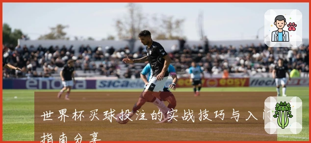 世界杯买球投注的实战技巧与入门指南分享
